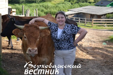 Телочка Рыжулька породы лимузин живет в хозяйстве Дины Рудаковой уже два года. Такой подарок наша героиня сделала себе на день рождения Телочка Рыжулька породы лимузин живет в хозяйстве Дины Рудаковой уже два года. Такой подарок наша героиня сделала себе на день рождения