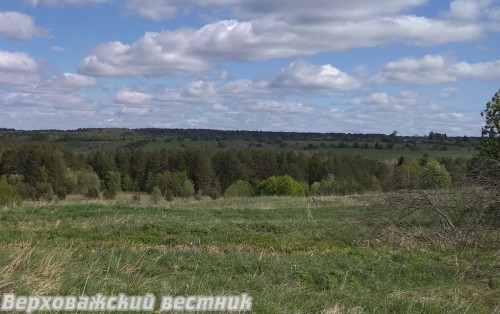 Зарастающие пашни в районе не редкость Зарастающие пашни в районе не редкость