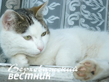 Кузя