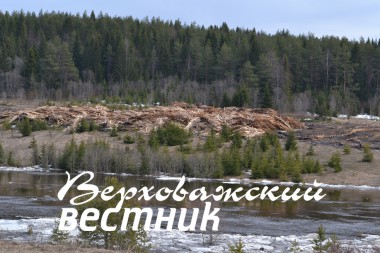 Малейшее возгорание на берегу Ваги около Каменки может привести к трагедии