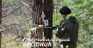 Необходимость лесоустройства назрела давно