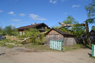 По чистой случайности рядом не было прохожих