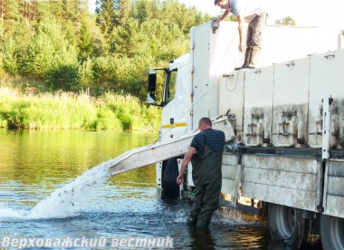 Выпуск молоди стерляди состоялся неподалеку от чушевицкой деревни Паюс