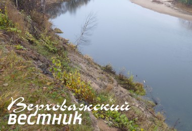 Огородные отходы сбрасывают под кручу.