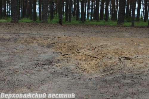 Так выглядит лесная почва после виражей мотоциклистов Так выглядит лесная почва после виражей мотоциклистов