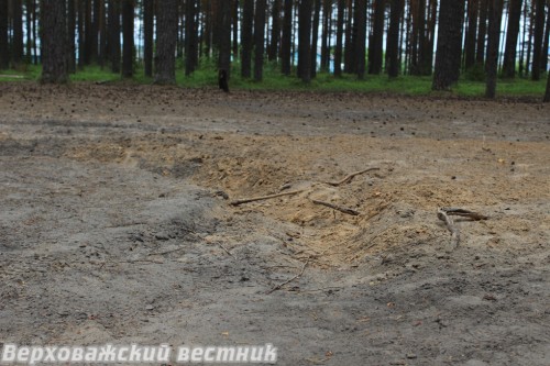 Так выглядит лесная почва после виражей мотоциклистов