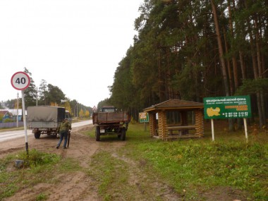 Лесной вестник