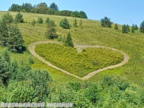 Такой романтичный подарок сделал своей любимой наш земляк на годовщину свадьбы