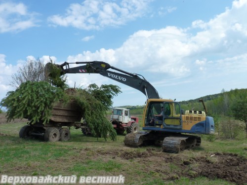 Раскорчевка заброшенных полей в ООО "Колос"