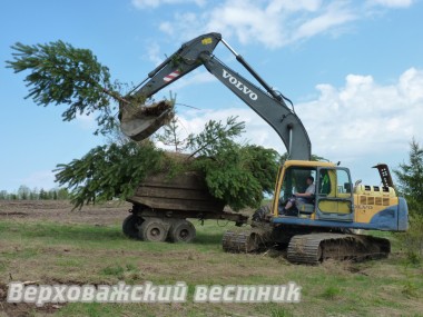 Корчевка сорной растительности с помощью экскаватора