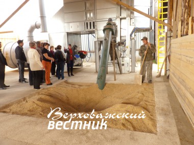 На новом зернотоке работают по два человека в смену