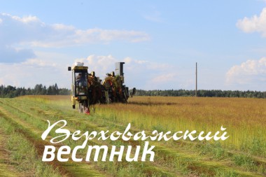 Уборка льна в хозяйстве А.В. Мызина