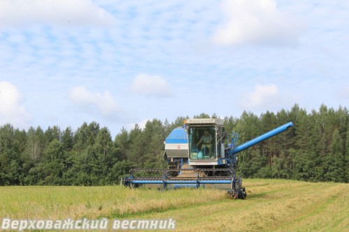 Уборка урожая нынче проходит в условиях, близких к экстремальным