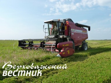 Уборку зерновых легче было вести на мелиорированных землях