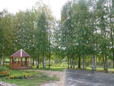 Березовая аллея украсит село Березовая аллея украсит село