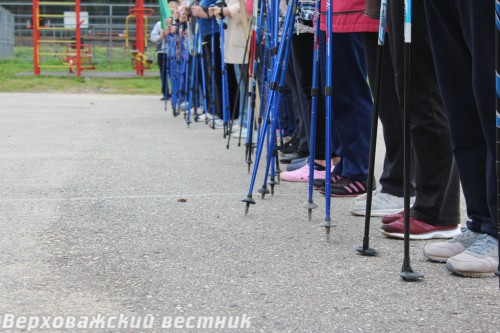 Научить любителей пеших прогулок правильной технике скандинавской ходьбы – главная задача проекта, участниками которого стали более 100 человек
