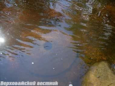 Жернов Коровинской мельницы, что стояла неподалеку  от слияния речек Мустовица и Терменьга,  до сих пор виден на дне