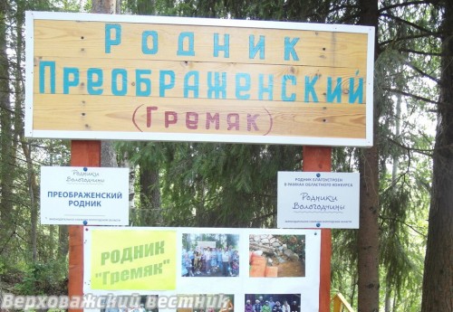 Родник Гремяк в Боровичихе продолжат благоустраивать Родник Гремяк в Боровичихе продолжат благоустраивать